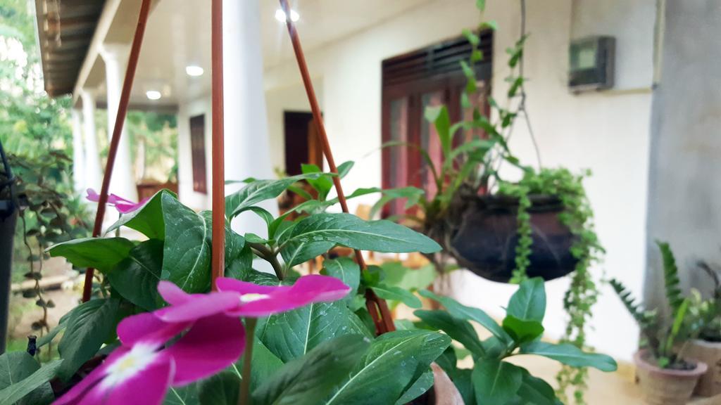 Kassapa Home Stay 锡吉里亚 外观 照片